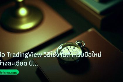 trading | คู่มือ TradingView วิธีใช้งานสำหรับมือใหม่อย่างละเอียด ปี 20