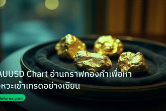 gold_daily | XAUUSD Chart อ่านกราฟทองคำเพื่อหาจังหวะเข้าเทรดอย่างเซียน