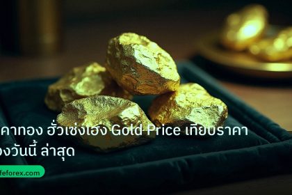 gold_daily | ราคาทอง ฮั่วเซ่งเฮง Gold Price เทียบราคาทองวันนี้ ล่าสุด