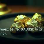 gold_daily | เทรดทอง Forex: วิธีเทรด XAUUSD ให้ได้กำไรจริง 2026