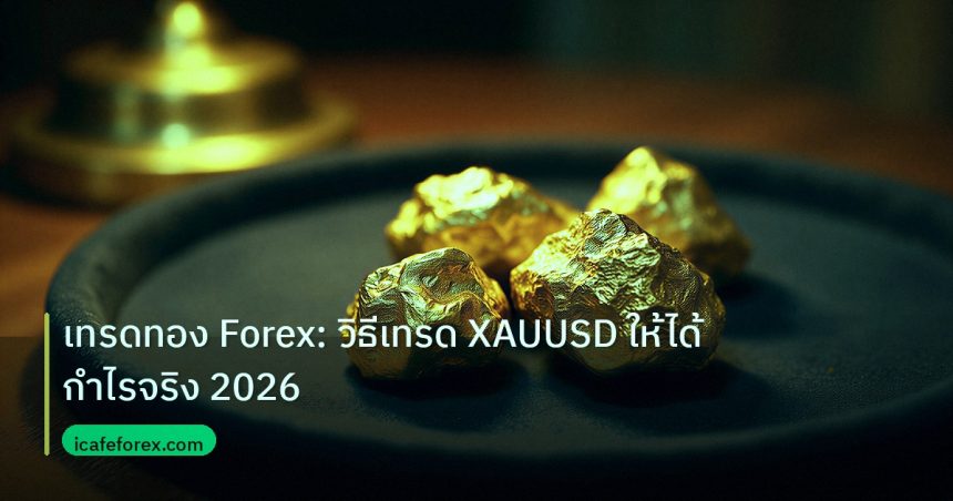 gold_daily | เทรดทอง Forex: วิธีเทรด XAUUSD ให้ได้กำไรจริง 2026
