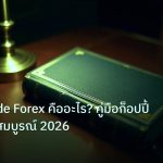 scb_manual | Copy Trade Forex คืออะไร? คู่มือก็อปปี้เทรดฉบับสมบูรณ์ 2026