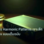 scb_manual | คู่มือทำกำไร Harmonic Patterns เจาะลึกเทรด Forex แบบเต็มฉบับ