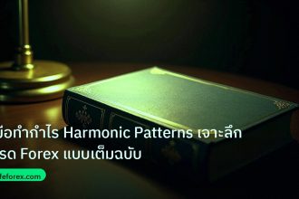 scb_manual | คู่มือทำกำไร Harmonic Patterns เจาะลึกเทรด Forex แบบเต็มฉบับ