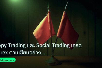 copy_signal | Copy Trading และ Social Trading เทรด Forex ตามเซียนอย่างชาญฉ