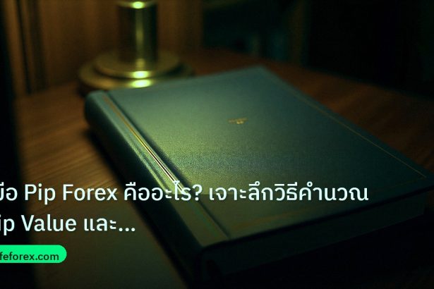 scb_manual | คู่มือ Pip Forex คืออะไร? เจาะลึกวิธีคำนวณ Pip Value และ Pip