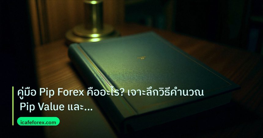 scb_manual | คู่มือ Pip Forex คืออะไร? เจาะลึกวิธีคำนวณ Pip Value และ Pip