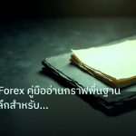 forex | แท่งเทียน Forex คู่มืออ่านกราฟพื้นฐานอย่างเจาะลึกสำหรับมือให
