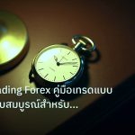 trading | Swing Trading Forex คู่มือเทรดแบบ Swing ฉบับสมบูรณ์สำหรับคนท