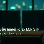 broker | เปรียบเทียบโบรกเกอร์ Forex ECN STP Market Maker เลือกแบบไหนด