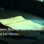 forex | Lot Size Forex คืออะไร? อธิบาย Standard Mini Micro Lot ครบจบ