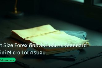 forex | Lot Size Forex คืออะไร? อธิบาย Standard Mini Micro Lot ครบจบ