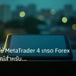 mt_platform | MT4 คู่มือใช้ MetaTrader 4 เทรด Forex ฉบับสมบูรณ์สำหรับมือให