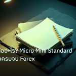 forex | Lot Size คืออะไร? Micro Mini Standard Lot อธิบายครบจบ Forex