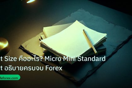 forex | Lot Size คืออะไร? Micro Mini Standard Lot อธิบายครบจบ Forex