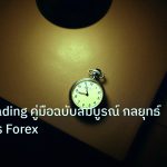 trading | Swing Trading คู่มือฉบับสมบูรณ์ กลยุทธ์และกิจวัตร Forex