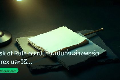 forex | Risk of Ruin ความน่าจะเป็นที่จะล้างพอร์ต Forex และวิธีป้องกั