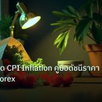 inflation | เทคนิคเทรด CPI Inflation คู่มือดัชนีราคาผู้บริโภค Forex