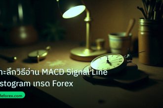 indicator | เจาะลึกวิธีอ่าน MACD Signal Line Histogram เทรด Forex