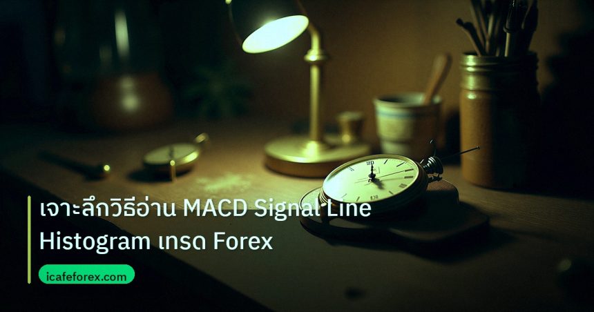 indicator | เจาะลึกวิธีอ่าน MACD Signal Line Histogram เทรด Forex
