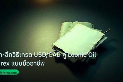 forex | เจาะลึกวิธีเทรด USD/CAD คู่ Loonie Oil Forex แบบมืออาชีพ
