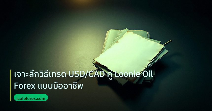 forex | เจาะลึกวิธีเทรด USD/CAD คู่ Loonie Oil Forex แบบมืออาชีพ