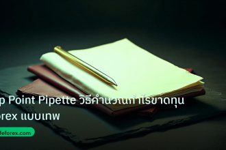 forex | Pip Point Pipette วิธีคำนวณกำไรขาดทุน Forex แบบเทพ