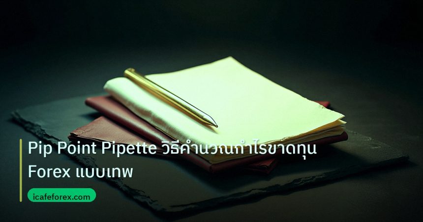 forex | Pip Point Pipette วิธีคำนวณกำไรขาดทุน Forex แบบเทพ