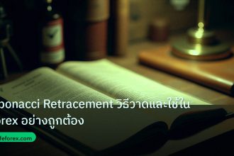 indicator | Fibonacci Retracement วิธีวาดและใช้ใน Forex อย่างถูกต้อง