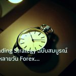 trading | Swing Trading Strategy ฉบับสมบูรณ์ เทคนิคถือหลายวัน Forex ทำ