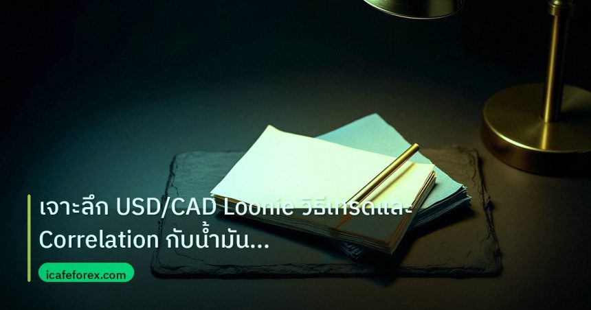 forex | เจาะลึก USD/CAD Loonie วิธีเทรดและ Correlation กับน้ำมัน For