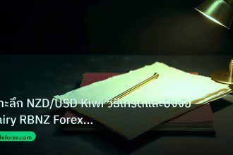 forex | เจาะลึก NZD/USD Kiwi วิธีเทรดและปัจจัย Dairy RBNZ Forex แบบเ