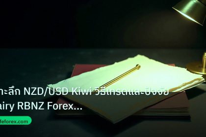 forex | เจาะลึก NZD/USD Kiwi วิธีเทรดและปัจจัย Dairy RBNZ Forex แบบเ