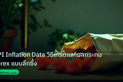 inflation | CPI Inflation Data วิธีเทรดและผลกระทบ Forex แบบลึกซึ้ง