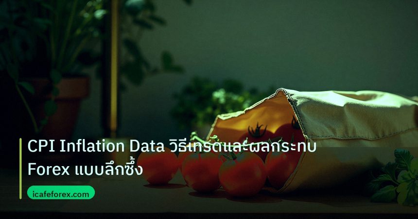 inflation | CPI Inflation Data วิธีเทรดและผลกระทบ Forex แบบลึกซึ้ง