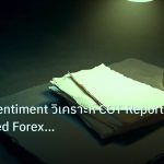 forex | Market Sentiment วิเคราะห์ COT Report Fear Greed Forex แบบเซ