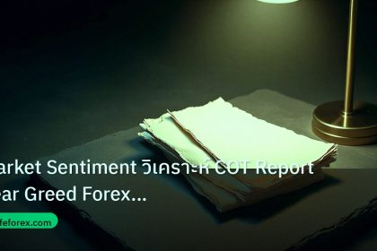 forex | Market Sentiment วิเคราะห์ COT Report Fear Greed Forex แบบเซ