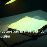 forex | Market Structure วิธีอ่าน HH HL LH LL Forex อย่างเซียน