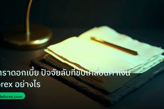 forex | อัตราดอกเบี้ย ปัจจัยลับที่ขับเคลื่อนค่าเงิน Forex อย่างไร