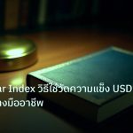 scb_manual | DXY Dollar Index วิธีใช้วัดความแข็ง USD Forex อย่างมืออาชีพ