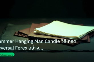 forex | Hammer Hanging Man Candle วิธีเทรด Reversal Forex อย่างมืออา