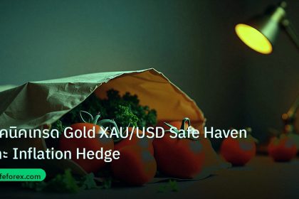 inflation | เทคนิคเทรด Gold XAU/USD Safe Haven และ Inflation Hedge