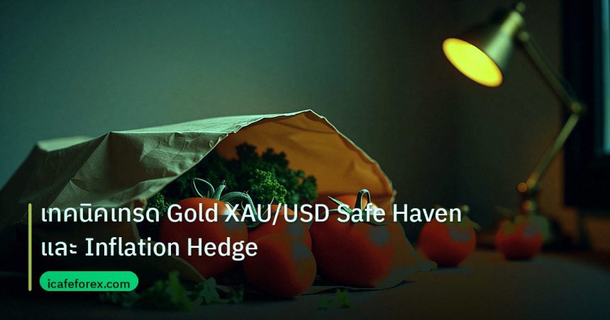 inflation | เทคนิคเทรด Gold XAU/USD Safe Haven และ Inflation Hedge