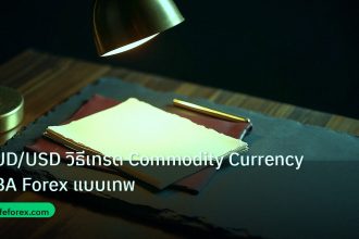 forex | AUD/USD วิธีเทรด Commodity Currency RBA Forex แบบเทพ
