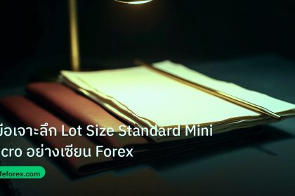 forex | คู่มือเจาะลึก Lot Size Standard Mini Micro อย่างเซียน Forex