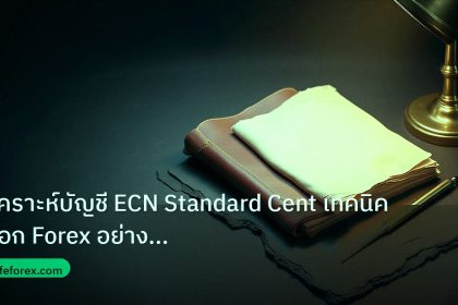 forex | วิเคราะห์บัญชี ECN Standard Cent เทคนิคเลือก Forex อย่างมืออ