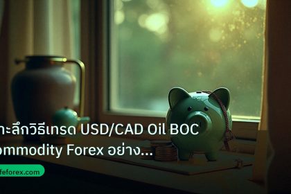 saving | เจาะลึกวิธีเทรด USD/CAD Oil BOC Commodity Forex อย่างมืออาชี