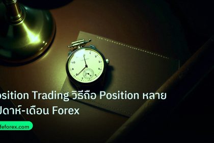 trading | Position Trading วิธีถือ Position หลายสัปดาห์-เดือน Forex