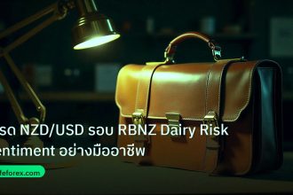 career | เทรด NZD/USD รอบ RBNZ Dairy Risk Sentiment อย่างมืออาชีพ