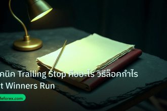 forex | เทคนิค Trailing Stop คืออะไร วิธีล็อคกำไร Let Winners Run